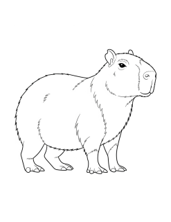 capibaras - 8
